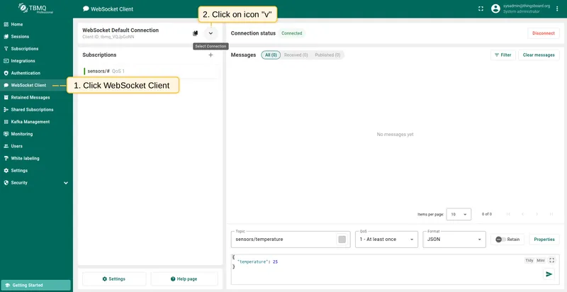 Go to the WebSocket Client page and click the Select Connection, represented by the expand more icon.